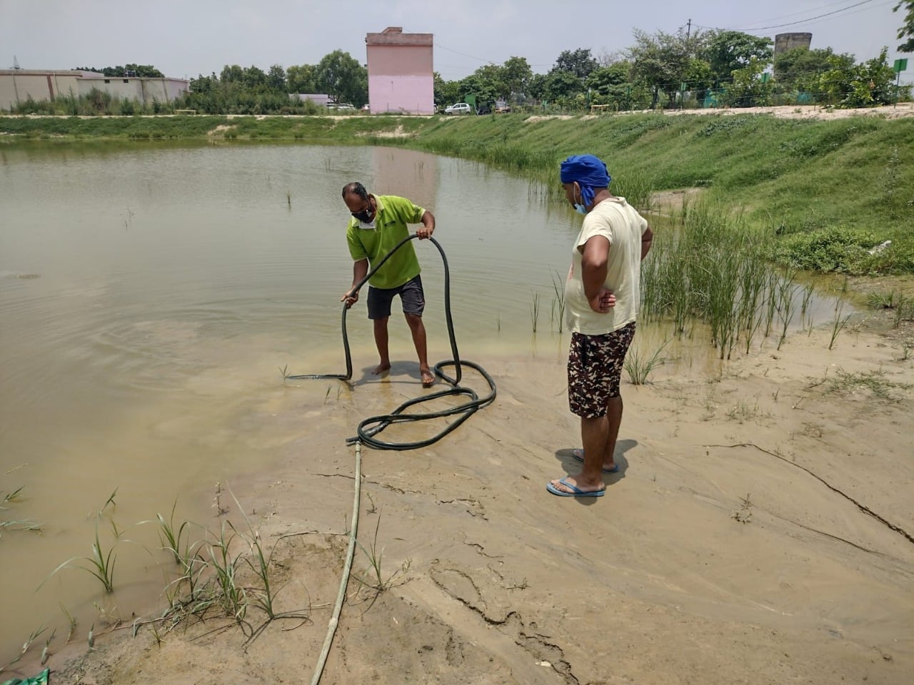 Wetlands Conservation