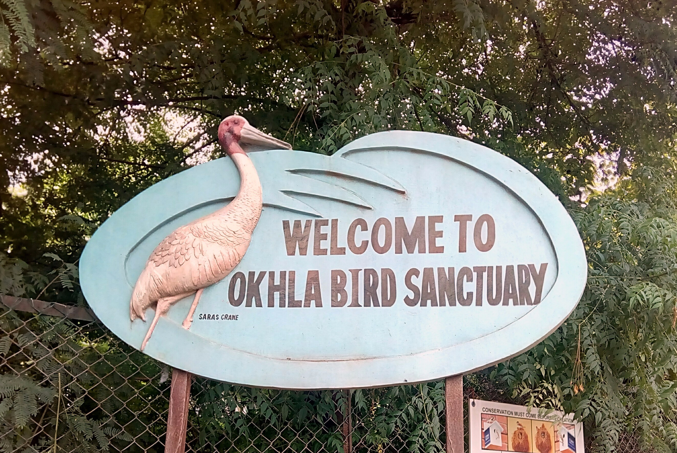 Why Delhi needs its Wetlands: The Okhla Bird Sanctuary