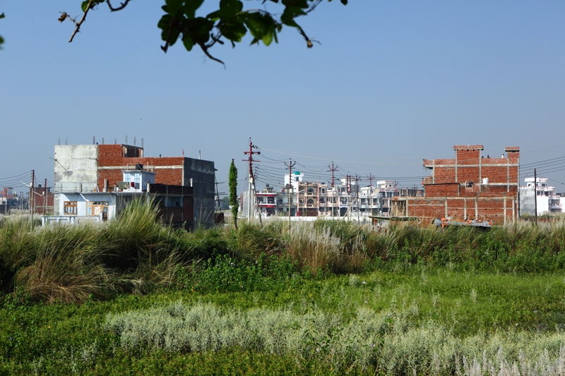 Urban sprawls and frayed ecosystems