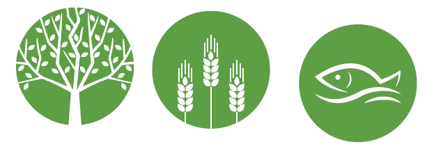 Insights_Puri, Odisha: Agriculture Livestock & Fisheries departments key recommendations for CCA-DRR integration
