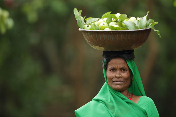 Seeds of resilience: Peri-urban farmers turn innovative
