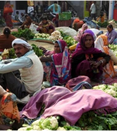 Time to mainstream an ‘Ecosystem based Urban Resilience’