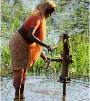 Conserving Peri-Urban Agriculture & Ecosystems to Build Urban Climate Change Resilience in Flood Affected Areas