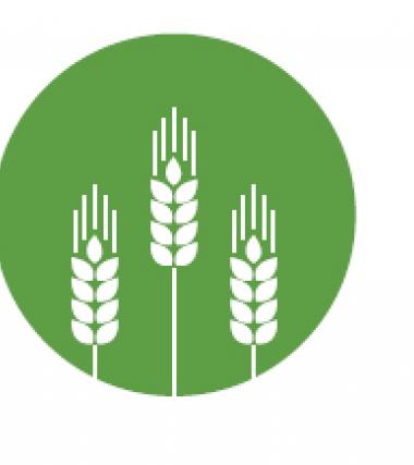 Insights_Puri, Odisha: Agriculture Livestock & Fisheries departments key recommendations for CCA-DRR integration