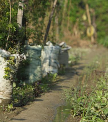 Indigenous Traditional Knowledge: For Disaster Reduction Risk in DDMP