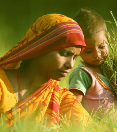 Building resilience: Gorakhpur farmers show how