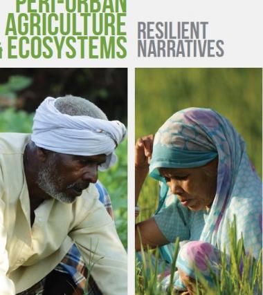 Farmers fight Climate Change: Turn resilient
