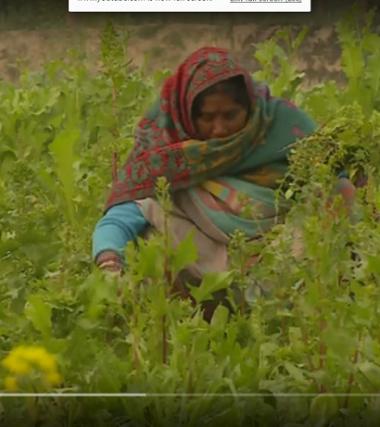 'Khet Chodab Naahi':Our Land, Our Life