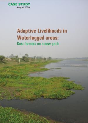 Adaptive Livelihoods in Waterlogged Areas