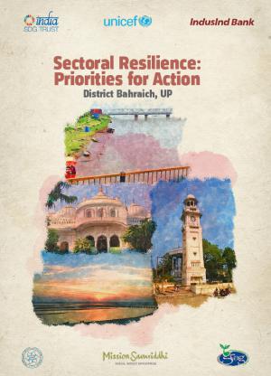 Sectoral Resilience: Priorities for Action - Bahraich